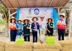 🐬 จังหวัดชลบุรี🐬  ✨️🌾🌾“ชลบุรีจัดกิจกรรม ‘ดำนาวันแม่ เกี่ยวข้าววันพ่อ’ สืบสานวิถีชาวนา ครบรอบ ๑๗ ปี”✨️🌾🌾